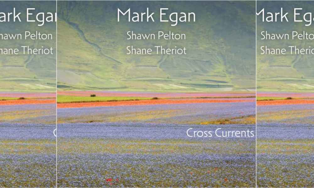 New Album: Mark Egan, Cross Currents